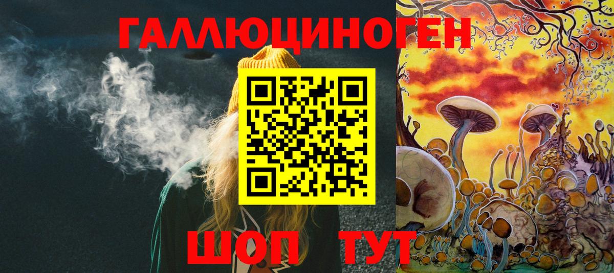 Псилоцибиновые грибы мицелий Екатеринбург